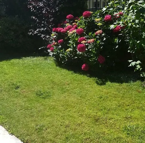 Apartment Modenese 8