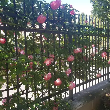 Apartment Modenese 8
