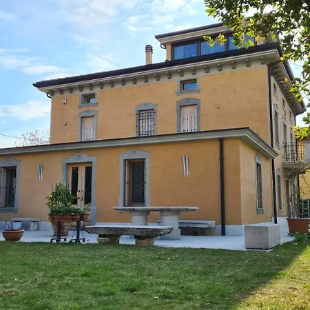 Modenese 8