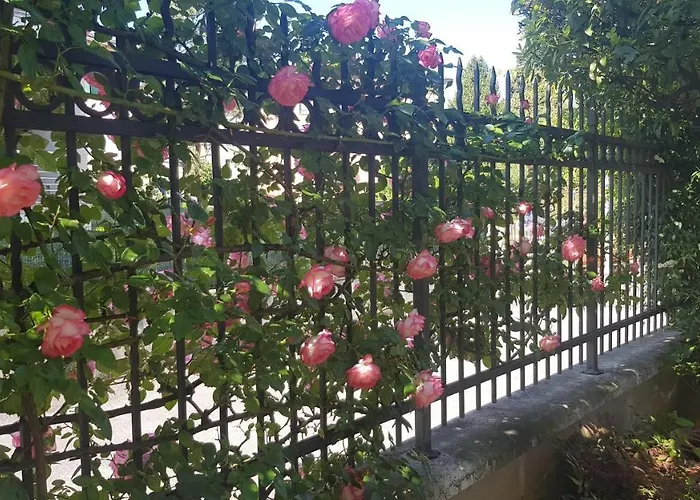 Appartement Modenese 8
